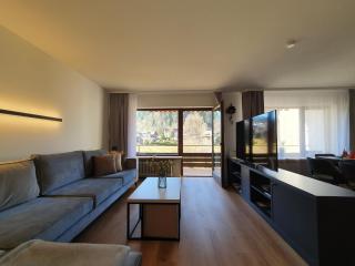 Zartenbach Suite One - Hinterzarten - 7