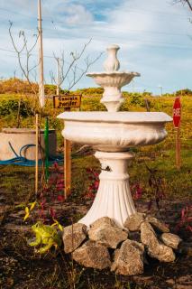 Pousada Rancho Matos - Santo Amaro - 3