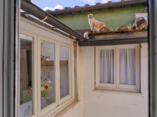 Nugolo atelier - Light & charm in Oltrarno - 1