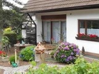 Pension Haus Monika - Sasbachwalden - 9