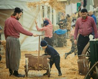 Gastenverblijf de paddestoel - 0