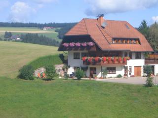 Schreinerhäusle nähe Titisee - Himmelreich - 9