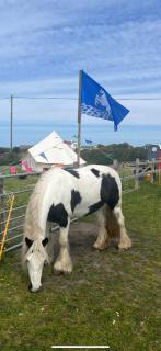 Bollowal Bell Tent - St Just - 3