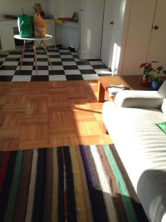 Lovely Apartment in barrio Italia, best location - Santiago - 7