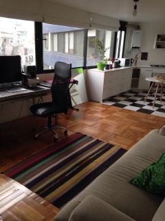 Lovely Apartment in barrio Italia, best location - Santiago - 4
