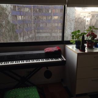 Lovely Apartment in barrio Italia, best location - Santiago - 2