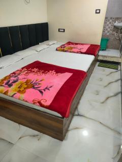 Hotel delight - Ujjain - 4