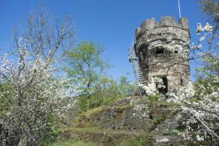 Haus Alleegarten - 2