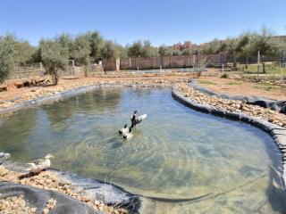 holiday homes ideal for families at IGHIZINN resort - 0