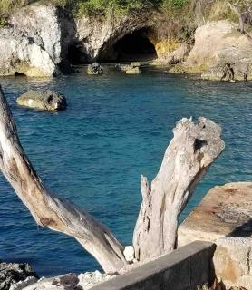 Coastal Haven -Oceanfront Escape - Orange Bay - 6