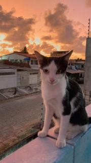 Fuzuê na Laje - Olinda - 6