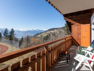 Apartment Villars Vacances 20 by Interhome - 2