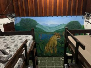 Magic Jungle Beach - Nicoya - 7