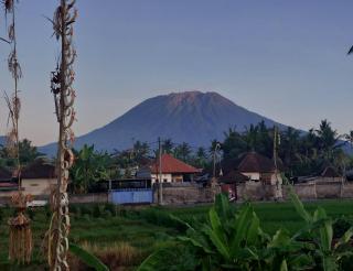Pondok Radnata - Tenganan - 8