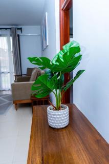 Timeless Stays - Arusha - 7