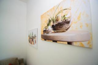 Venturina Terme Apartment - Venturina Terme - 5