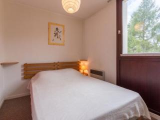 Apartment 3300 by Interhome - Les Deux Alpes - 4