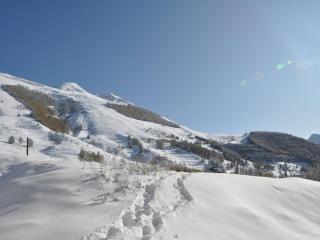 Apartment 3300 by Interhome - Les Deux Alpes - 1