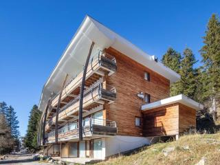 Apartment V- du Bachat - Sorbiers F by Interhome - Chamrousse - 9