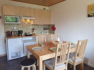 Studio Meijotel A by Interhome - Les Deux Alpes - 9