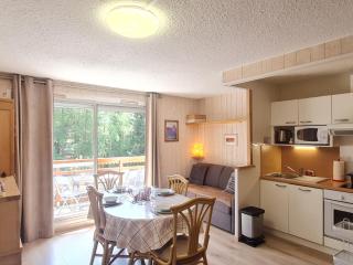 Studio Montana 1 by Interhome - Les Deux Alpes - 0
