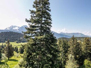 Studio V du Bachat Sorbiers E by Interhome - Chamrousse - 1