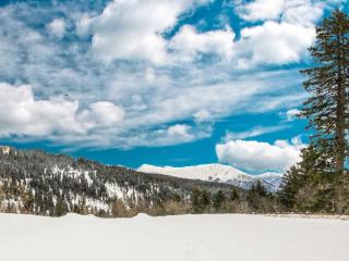 Studio Le Carina by Interhome - Chamrousse - 2