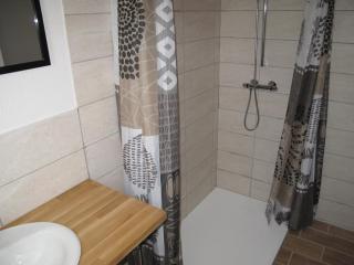 Gîte Le p'tit Chasseral - 4