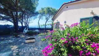 Villa dei Cavallucci Marini - Capoliveri - 0