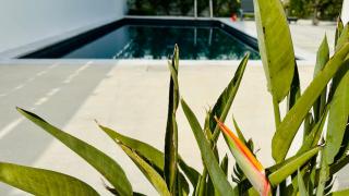 Luxury 4 bdr Villa Nerida - Chlorakas - 5
