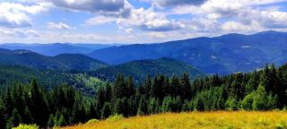 Готель Зірка Міжгір'я - Verkhovyna - 9