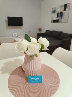 Apartman Panonia - Slavonski Brod - 8