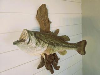 Ozark Hills Hideaway - Lebanon - 4