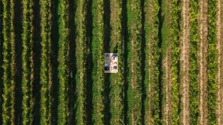 Natiia Relais - Adults Only - Lazise - 8