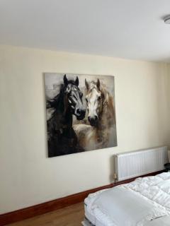 Stables - Duffys of Ballybin - 7