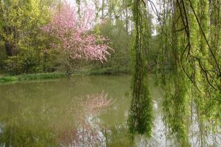 Les Bambous, avec piscine, tennis et lac privatif - - 1