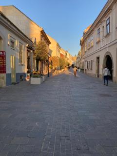 White Nest - Pécs - 3