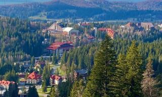 Sunny Grand Chalet Apartment - 1