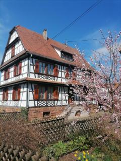 Appartement et terrasse privée - Ingolsheim - 0