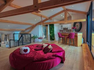 Le Loft Paradise - Montauban - 0