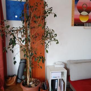 proche Paris chambre hôte - 1