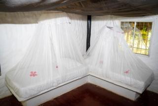 Taironaka Eco Hotel - 3