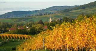 Gite Le Douglas, Vignoble et Reculées du Jura - Avec Sauna - 2