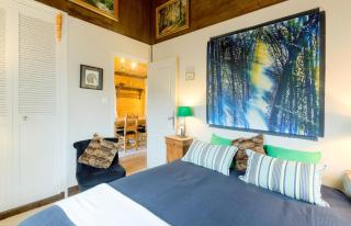 Authentic mountain cabin with river at 900m lake - Xonrupt-Longemer - 5