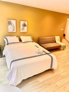 Nice Loft in the heart of Barranco - Lima - 4