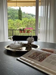 VIP Apartment with swimming pool - Rapallo - 2
