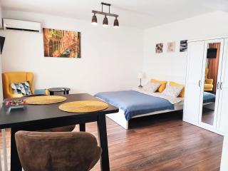 Ultracentral Studio near Government Victory Square - Bucarest - 8