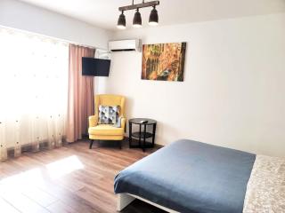 Ultracentral Studio near Government Victory Square - Bucarest - 9