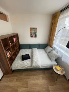 Apartmán Dobrovského - Olomouc - 1