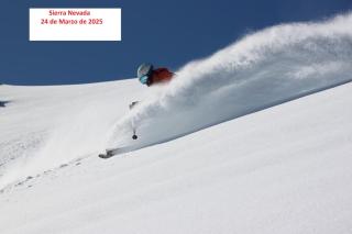 PRESIDENTE Double - 8